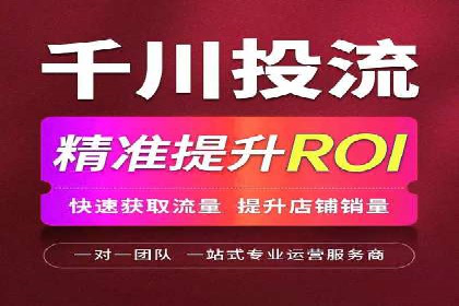 解析某某SEM服务公司的广告投放策略与效果评估